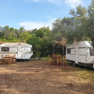 Aquariumi Jale Campingplatz Jal